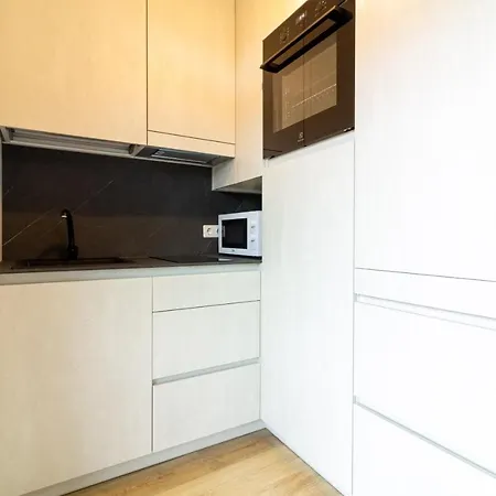 Vinewood Apartment, By Cohost Апартаменты Паланга